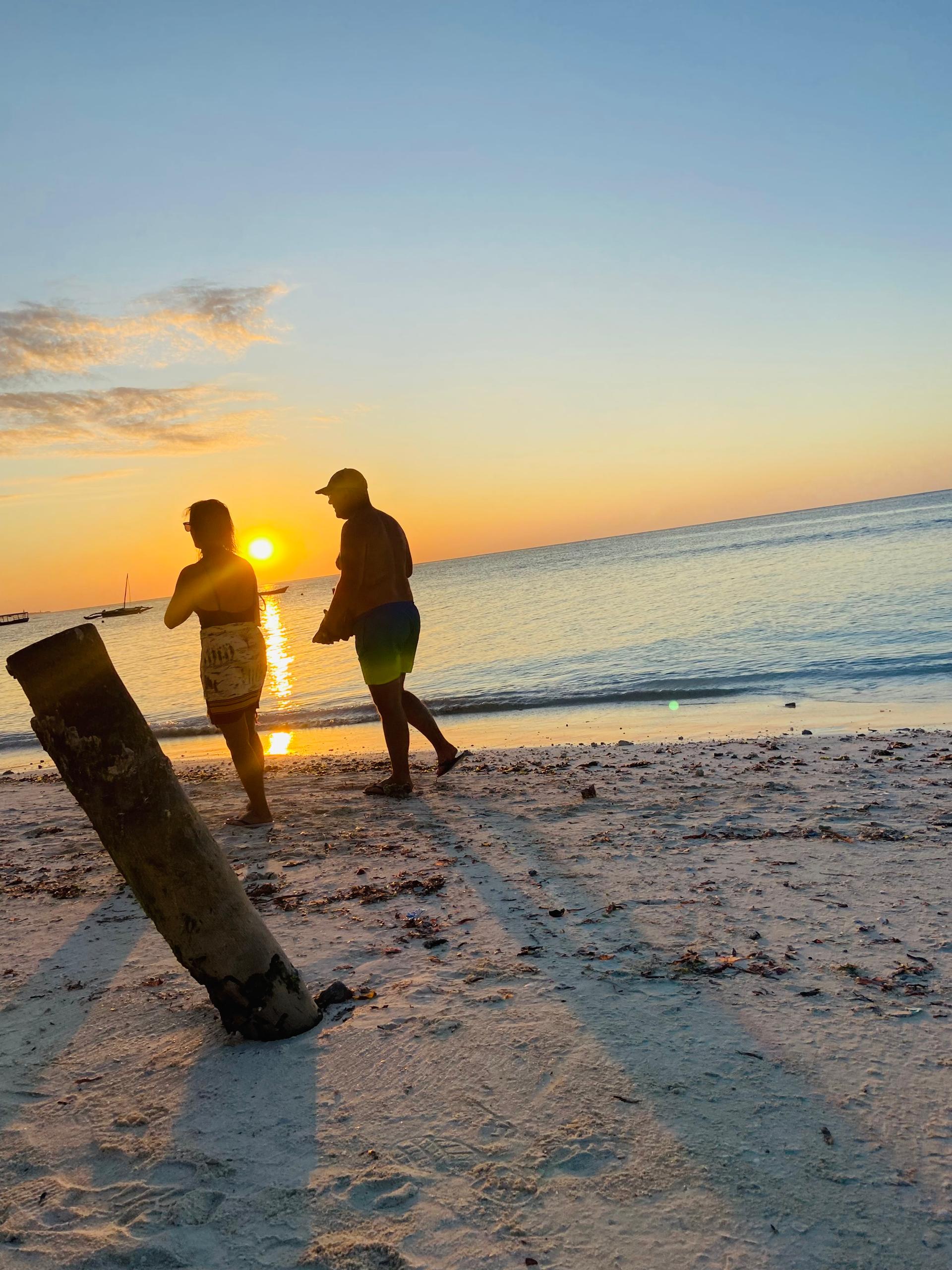 Sunset Dhow Cruises safari tour